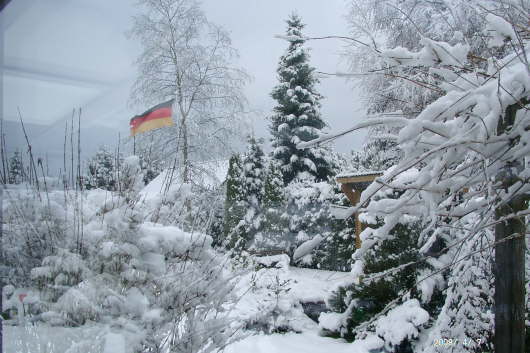 07.04.2008: Blick aus dem Wintergarten