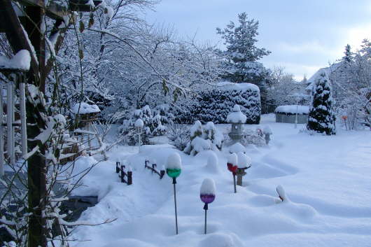 21.02.2005: Der Garten im Winter 